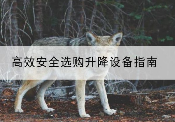 鱼台升降货梯厂家推荐-*安全选购升降设备指南