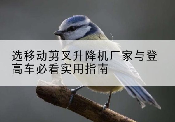 鱼台电动升降机厂家-选移动剪叉升降机厂家与登高车必看实用指南