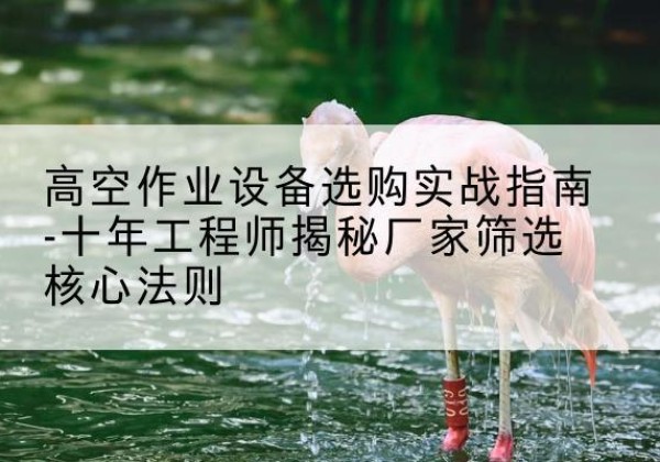 鱼台剪叉式升降机厂家-高空作业设备选购实战指南-十年工程师揭秘厂家筛选核心法则